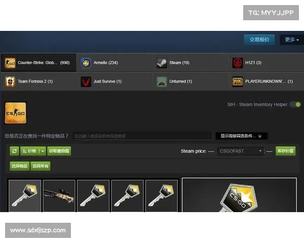 俄罗斯CSGO皮肤交易市场新选择全面解析及发展趋势分析 俄罗斯CSGO皮肤交易市场新选择全面解析及发展趋势分析