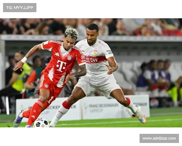 德甲为何长期缺乏对拜仁有力竞争的球队分析与深度剖析