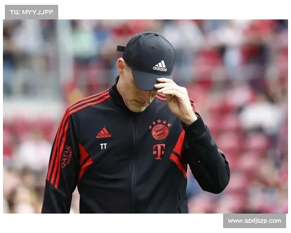 拜仁慕尼黑体育场的十大必知事实揭示了其独特魅力与历史价值